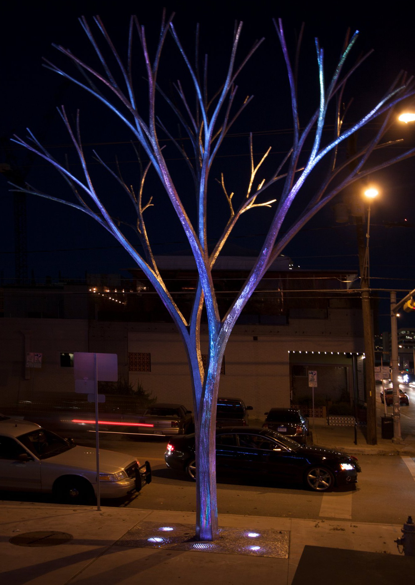 Austin tree night